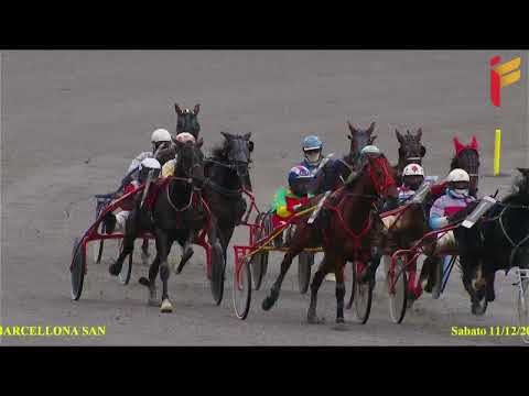 III Corsa del 11 Dicembre 2021 - 4 Anni - Metri 1600