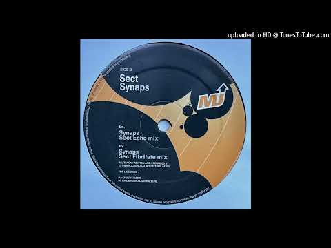 Estroe vs. Sect - A2  Synaps (Estroe Remix)