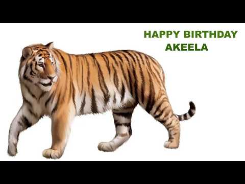 Akeela   Animals & Animales - Happy Birthday