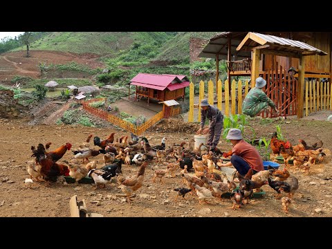 Aufbau des Bauernhoflebens, Gartenarbeit, Viehzucht und Verschönerung des Bauernhofs
