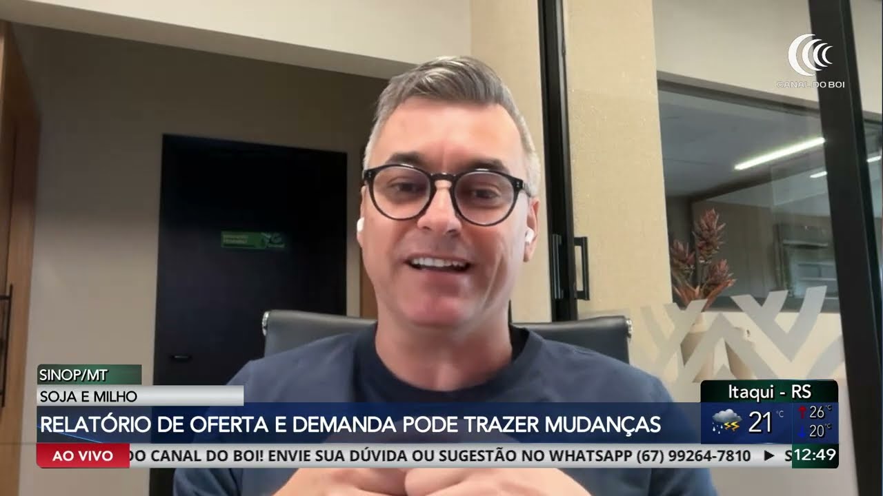 Dólar, prêmios e Chicago influenciam preços da soja no Brasil