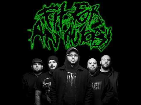 Video thumbnail for Digging Shallow Graves