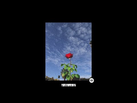 @jimmiphen - THUI HONG BÙN 🥲🥲🥲