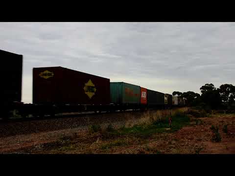 Freight Train (6MP4)