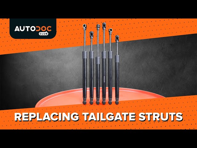 Watch the video guide on NISSAN CEDRIC Gas struts replacement