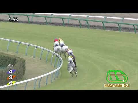 2018.04.14 Nakayama Grand Jump (JPN) - Oju Chosan