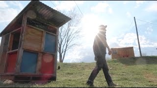 The Chicken Shack Brooder