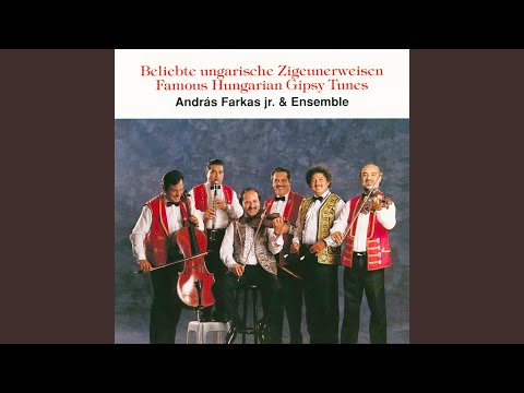 Ungarische Verbunkos