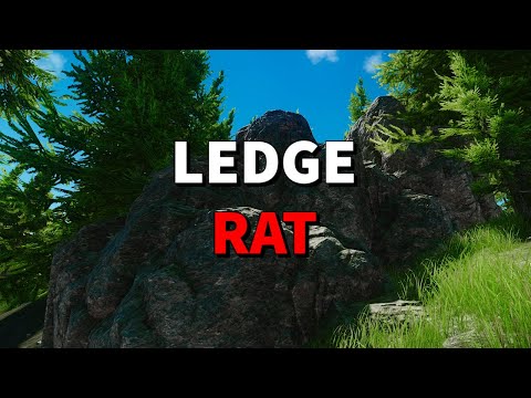 RAT STRAT: sniping from the Ledge spot on Woods - EFT Highlights - Escape from Tarkov