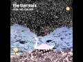 The Thermals - Now We Can See - Jamzar1000 The Thermals - Now We Can See