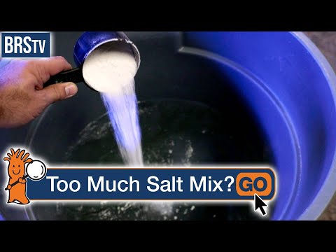 How Much Salt Do I Put In My Saltwater Tank?