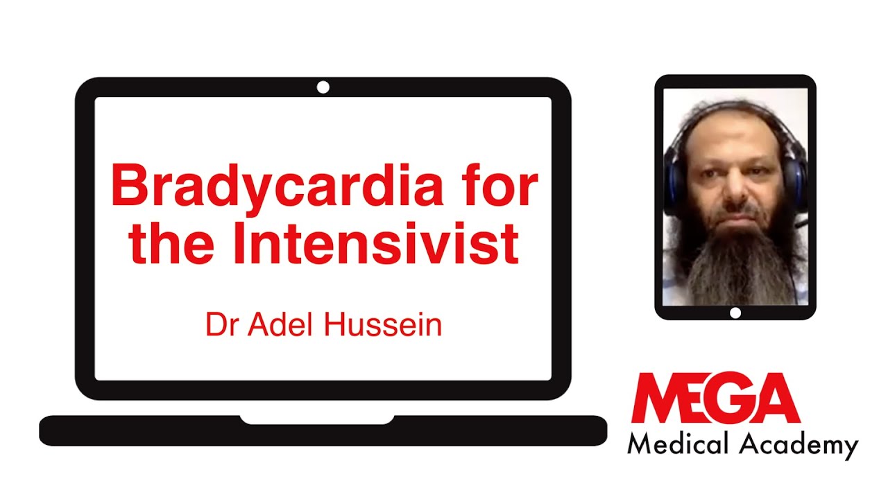 Bradycardia for the Intenaivist