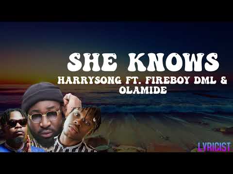 HARRYSONG x FIREBOY DML x OLAMIDE- SHE KNOWS(lyrics)