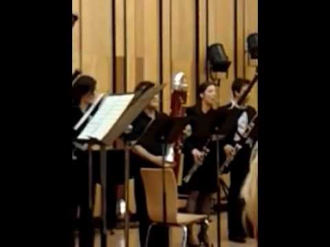 Pirates of the Caribbean for 12 bassoons