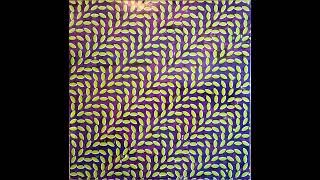 Animal Collective ‎– Lion In A Coma (Vinyl Rip) HQ