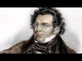 Franz Schubert 'The Trout' Finale Allegro giusto 05 (with Bass Humor)