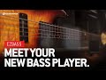 Video 1: Meet Your New Bass Player