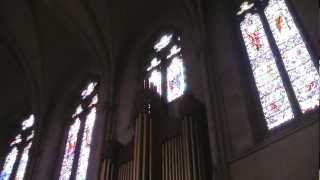 Nick Bowden plays Bach "Toccata and Fugue in D minor" BWV 565 at Grace Cathedral