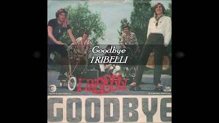 Goodbye (The Beatles) - I Ribelli - Karaoke