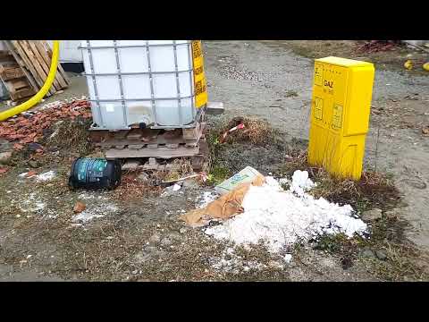 1556 Biała Nyska (Nyska)