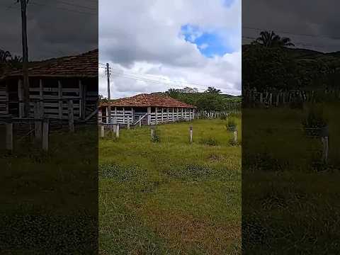 Oportunidade para Pecuária: Fazenda 1.700 ha em Tiros/MG – Muita Água e Potencial de Pastagem