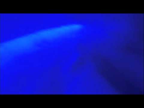 WasLosInLingenTV.de: INDEX - Schüttorf Ice Bar - Bob Bahn Test