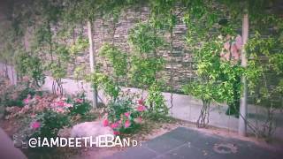 K Camp - Rockstar Crazy ( Dance Video) @_5uave @yuungmonte #CircleOfTruss