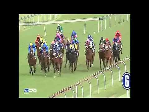 2015.11.28 Gauteng SANSUI Summer Cup (RSA) - Master Sabina