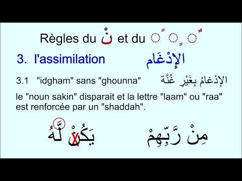 Règles de récitation - Noun Sakina et Tanween  - tajwid