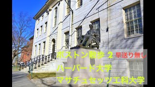 【散歩道 その2 早送り無し】Harvard University & MIT
