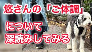 悠仁さまのご体調　深読みしてみる　あくまでも憶測ですが