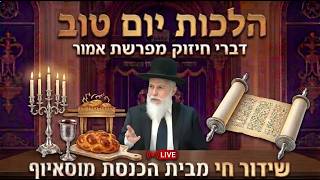 פרשת אמור | הלכות יום טוב - הגאון רבי זמיר כהן ראש ישיבת אבני נזר