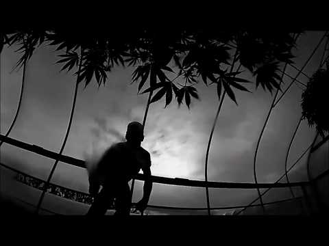 SENSI SHEEBA - В Чём сила (Official Video)