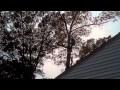 Bosky Tree Care Tree And Limb Removal Cape Cod