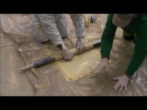 QUABUS Kurzliner 2016