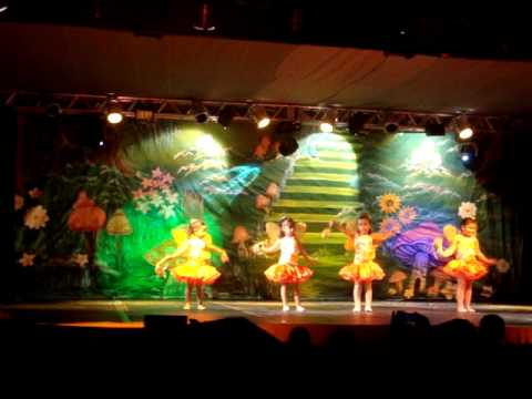 A Magia das Fadas 2010 034