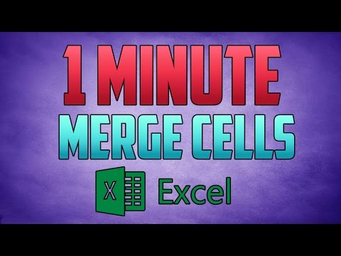 Excel 2016 How to Embed a PDF Document