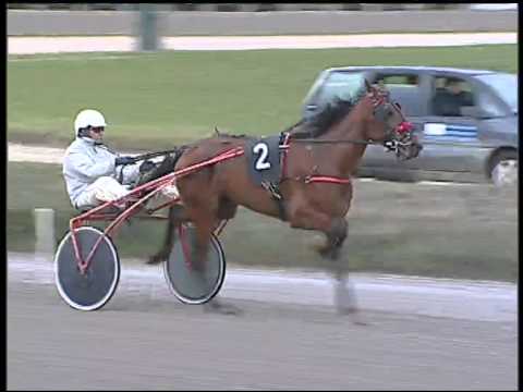 Trotto 22/02/2015 - 6° corsa