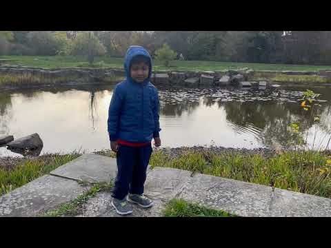 Mokshit is trying to feed the fish