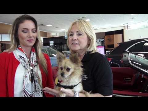 Braman Motorcars Pet Of The Week