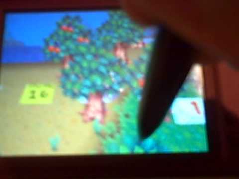 DS Review - Animal Crossing - Wild World