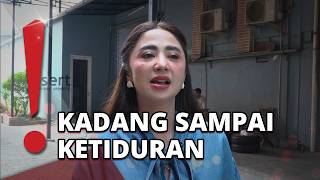 Download lagu Son Returns Home, Dewi Perssik Makes the Most of Their Time Together mp3