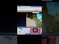Owl From Winnie The Pooh Paints Black Stripes On Ceras Butt And It Tickled Her