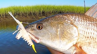 3 Tips To Catch Shallow Water Redfish