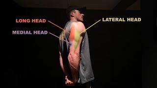 The 5 Best Tricep Exercises (Grow All 3 Heads)
