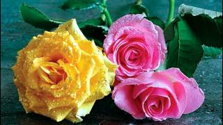 J&#39;AI DEUX AMOURS-MADELEINE PEYROUX