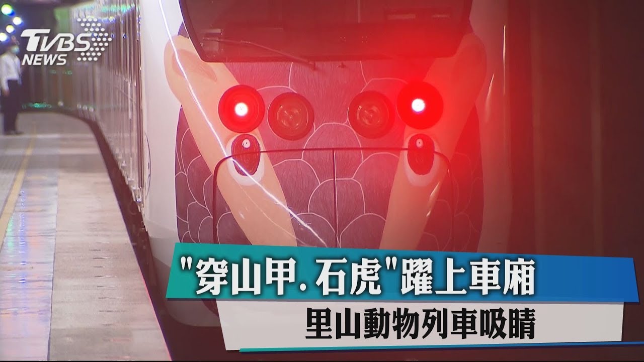 「穿山甲、石虎」躍上車廂　里山動物列車吸睛