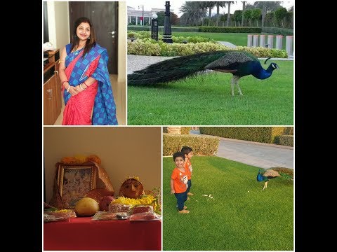 Twins enjoying eid holidays || Savitri Vrat Puja || Zaabeel Palace Dubai || NRI twin mother Video