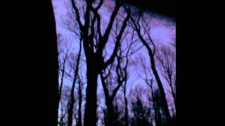 Pyrrhura - Spring is coming