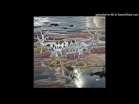 Deergod - formal introductions (feat. BONES)